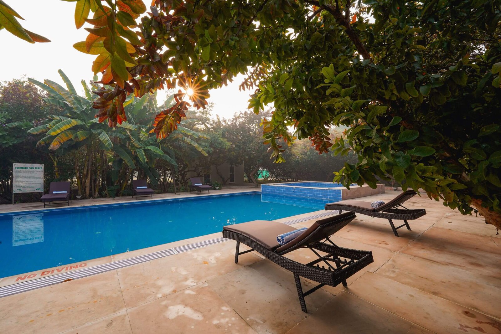 swimming-pool-tiger-inn-ranthambore 3